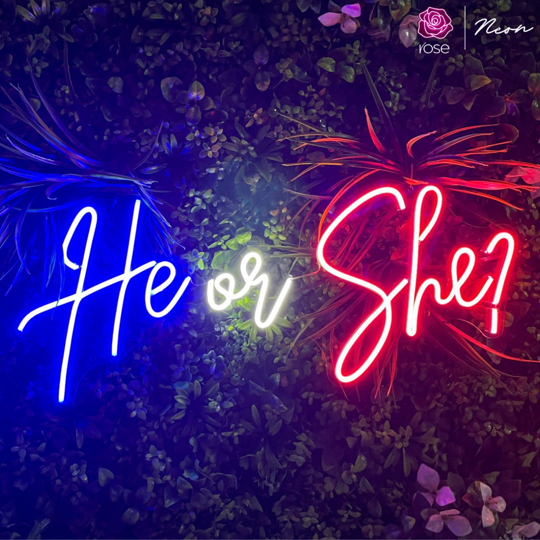 He or She Neon Sign