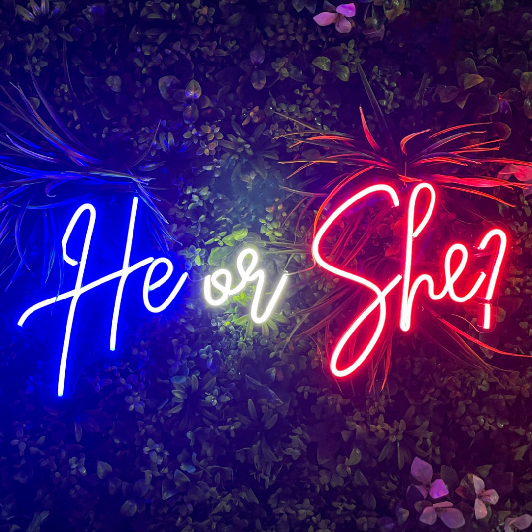 He or She Neon Sign