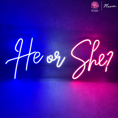 He or She Neon Sign