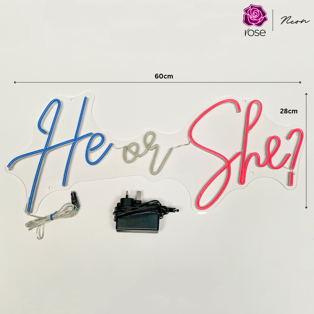 He or She Neon Sign